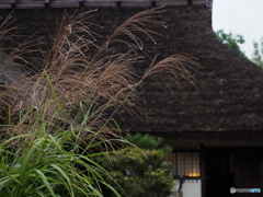 秋雨の武家屋敷