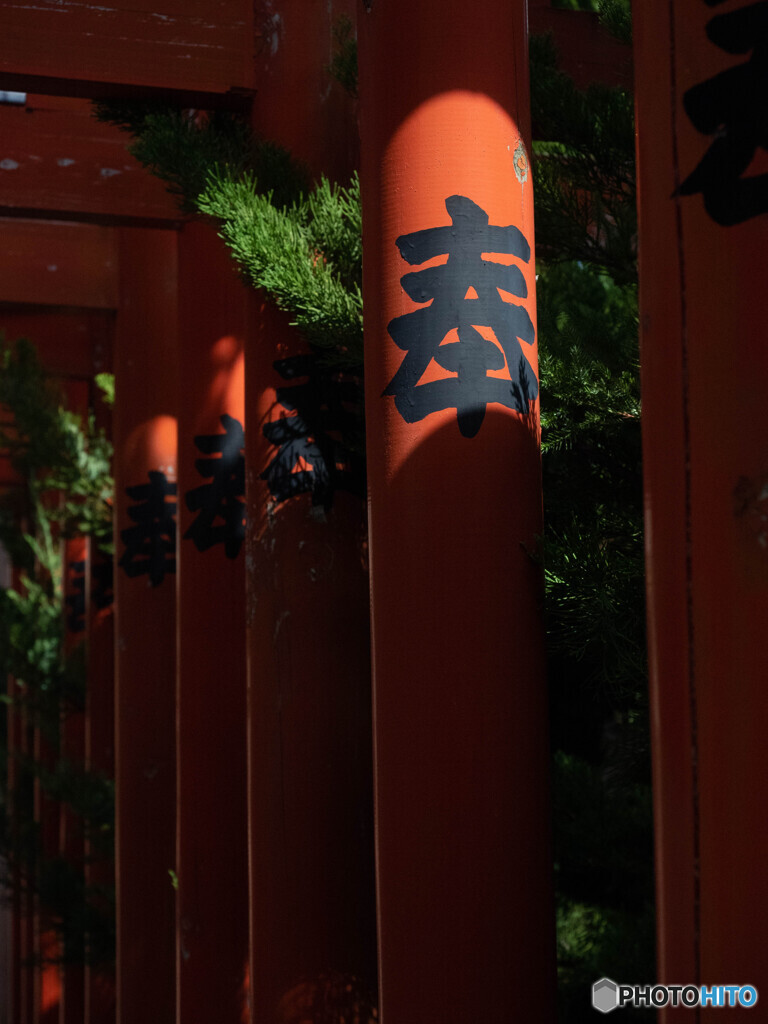 奉納