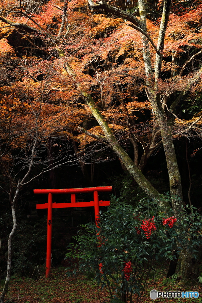 晩秋の山寺