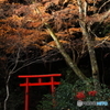 晩秋の山寺