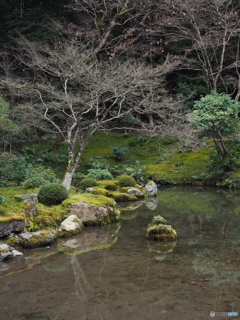 南禅院庭園