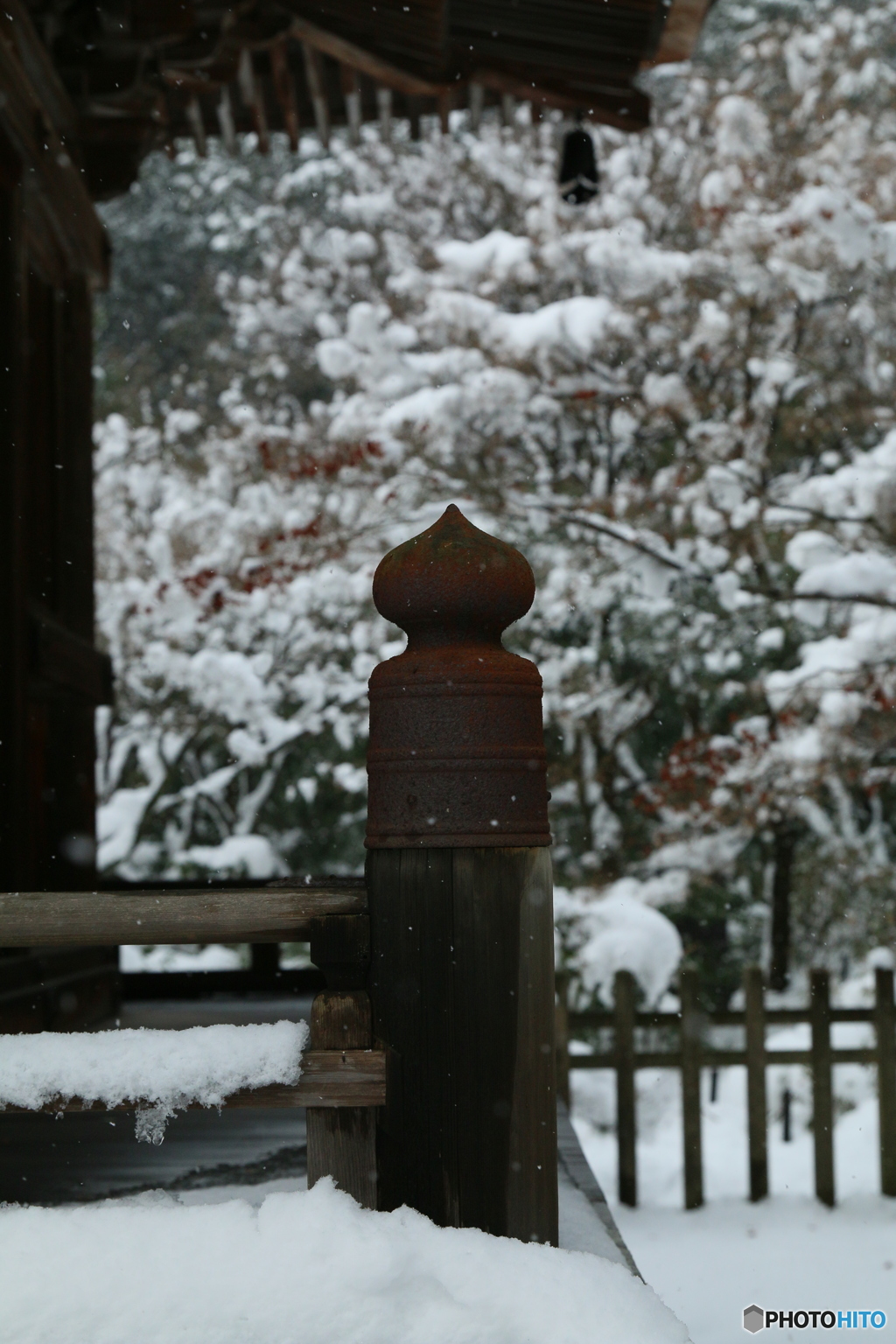 静寂の多宝塔