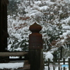 静寂の多宝塔