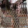 氷室神社をいろどる