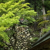 谷汲山華厳寺