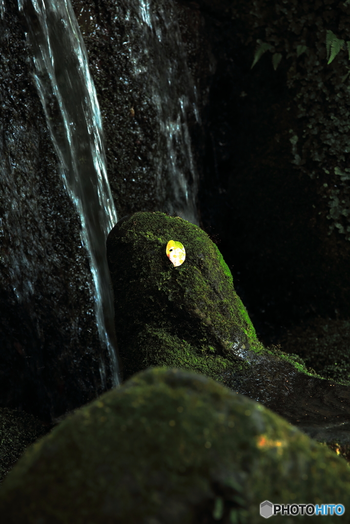 清水したたる