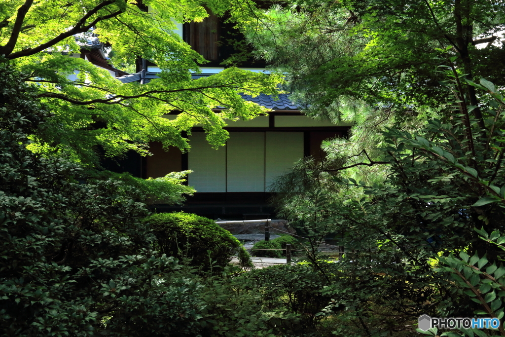 夏の京庭園