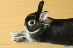 ぼくに何か用ですか？
