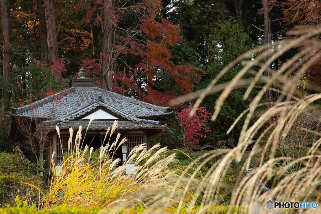 秋の古寺