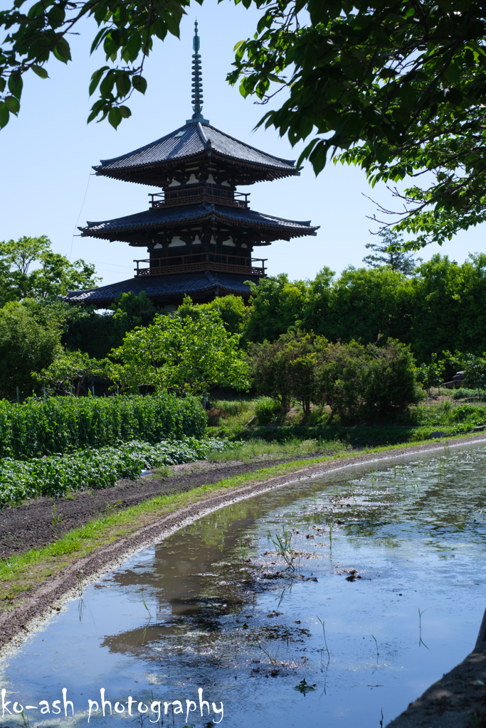 代田水