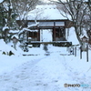 雪降り積む