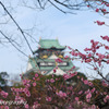春早き