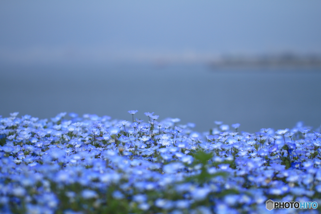 海に続く青