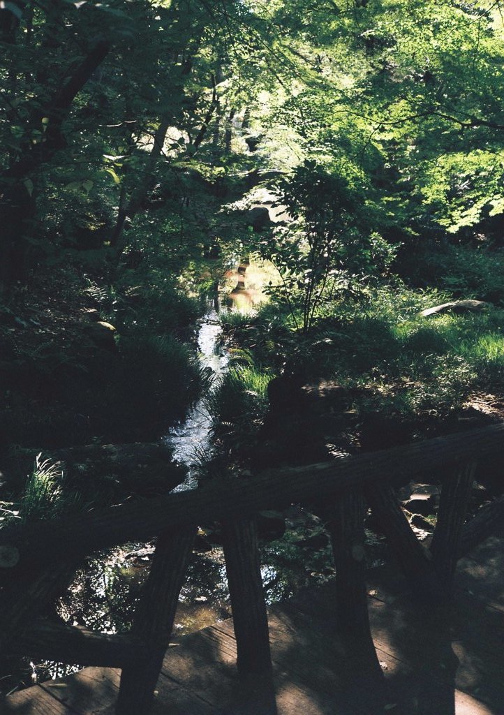 公園