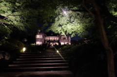旧古河庭園