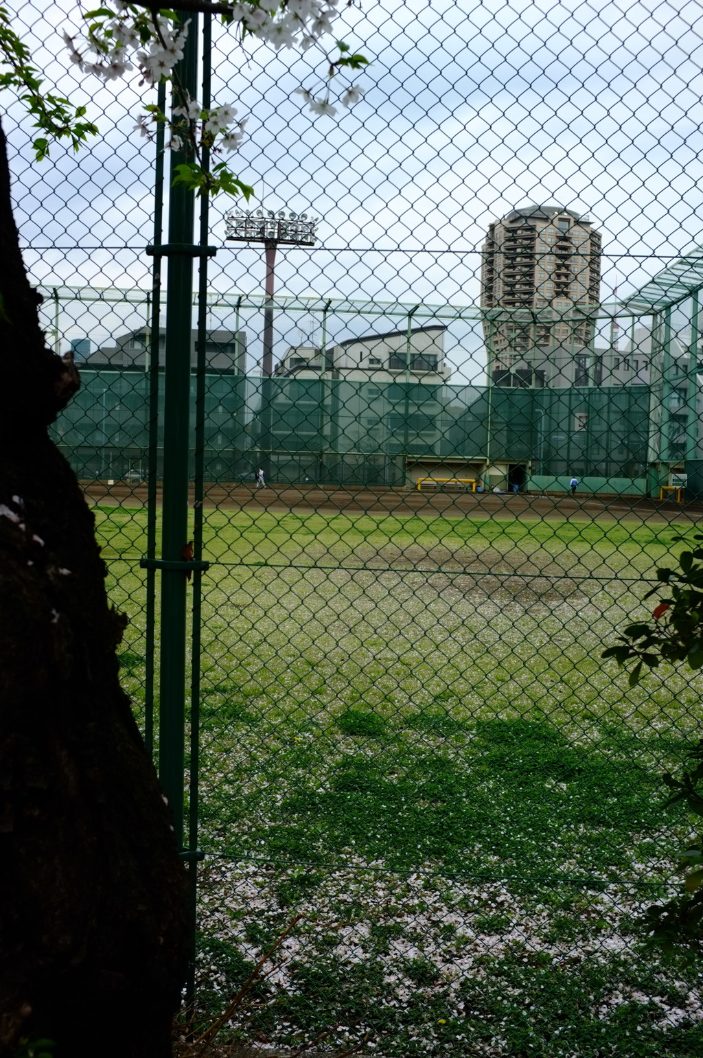 野球場