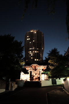 寺