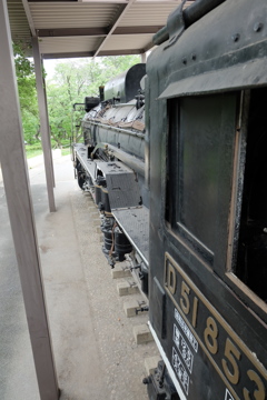 D51