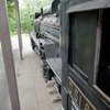 D51