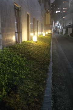 マンション