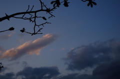 夕刻の空