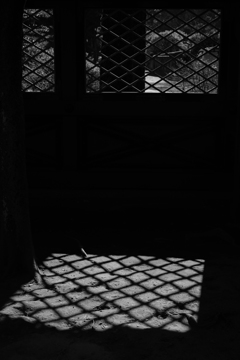 根津神社