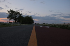 道