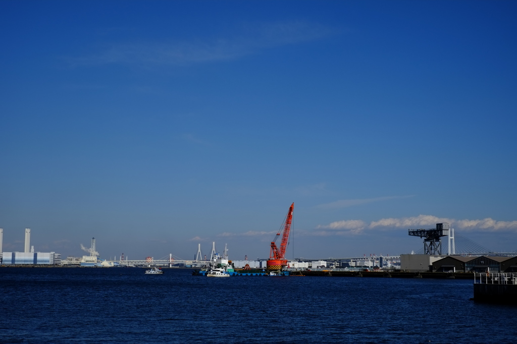ごちゃごちゃしてる海