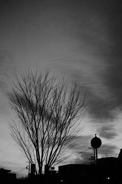 冬の空１