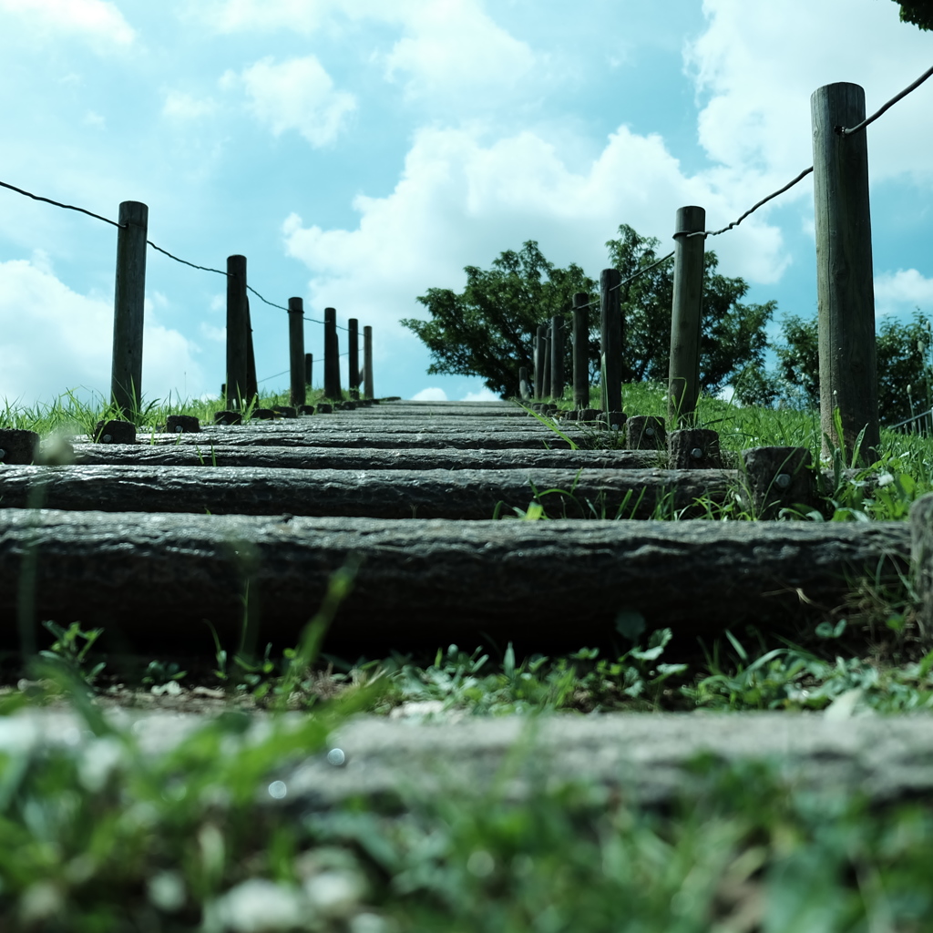 公園