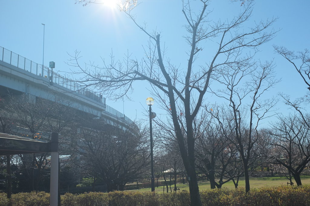 公園