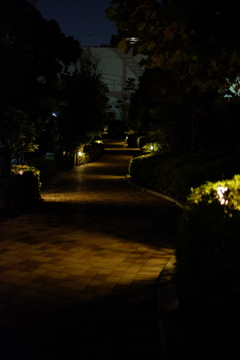 夜の小道
