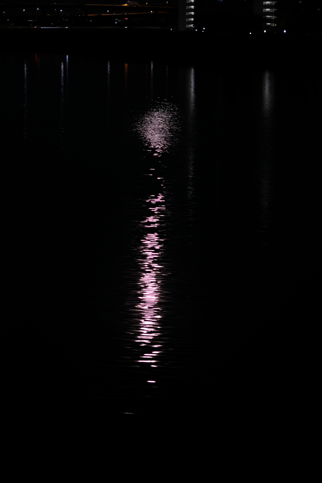 月の影