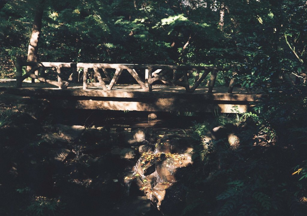 公園