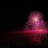 ビルに咲く花