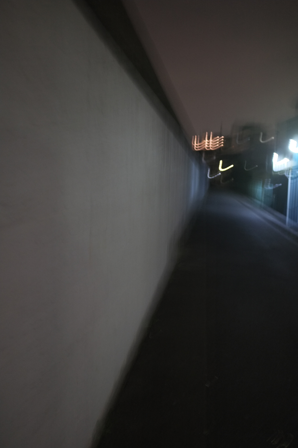 ぶれ２