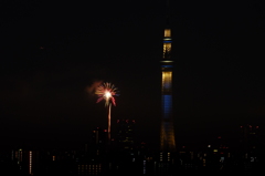 スカイツリーと花火