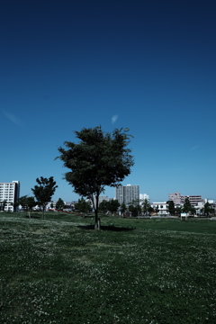 雲の形