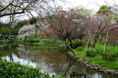 公園
