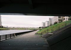 橋