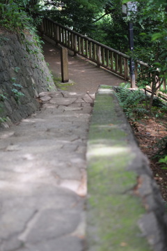 階段の先