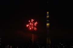 スカイツリーと花火