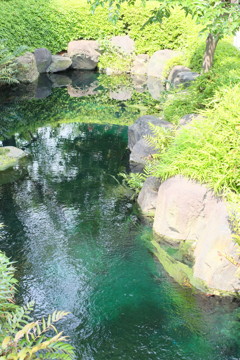 池