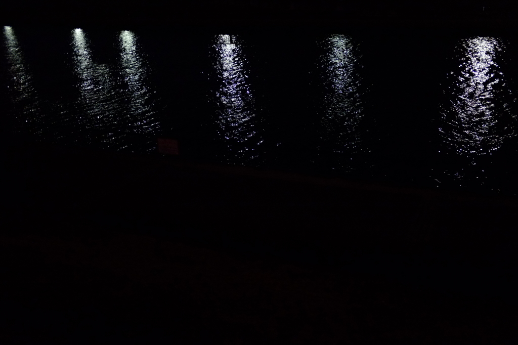 夜の隅田川沿い散歩３