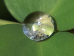 雨粒