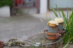 壊れ物