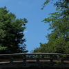 橋