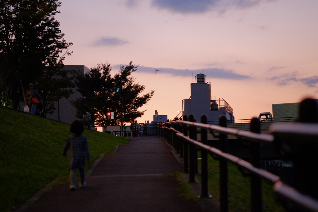夕方のお散歩
