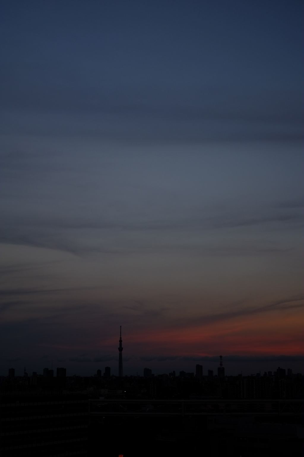 スカイツリーと空