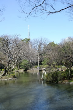池